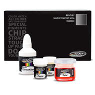 Bentley Silver Tempest Mica - 9560022 Touch Up Paint